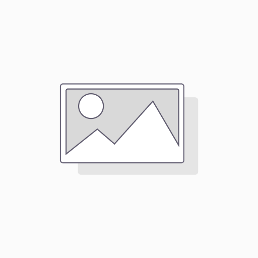 ANIMATION W UE